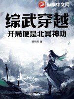 綜武穿越：開局便是北冥神功